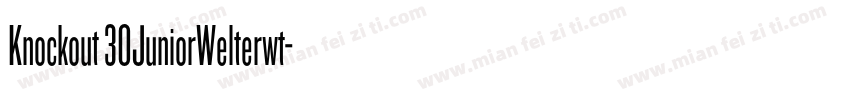 Knockout 30JuniorWelterwt字体转换